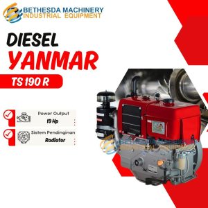 Diesel Yanmar TS 190 R