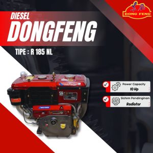 mesin diesel dongfeng r185 Nl