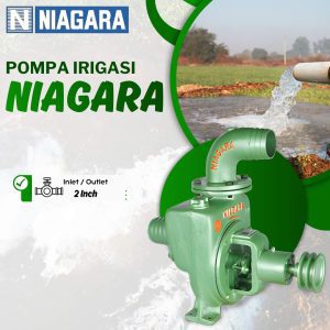 Pompa Niagara GTO 2